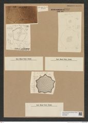 Diatomeae indet. Zeichnungen Sammlung Grunow Nr. 6939 (NHMW-BOT-W0375827)